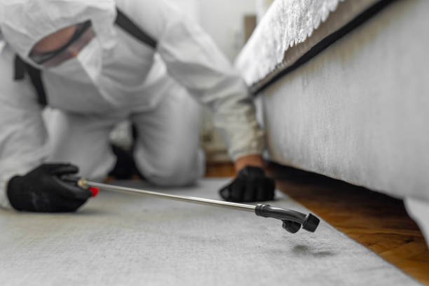 Professional Termite Control technician working in Northfield, MN